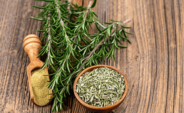 Why Does Our Hair Fall Out? How To Use Rosemary Oil For Hair?