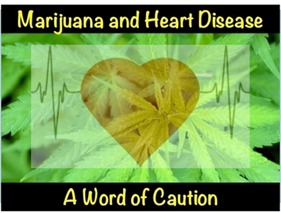 Marijuana And Heart Disease Risk: Peripheral Arterial Disease Is The New Danger Behind Marijuana Use