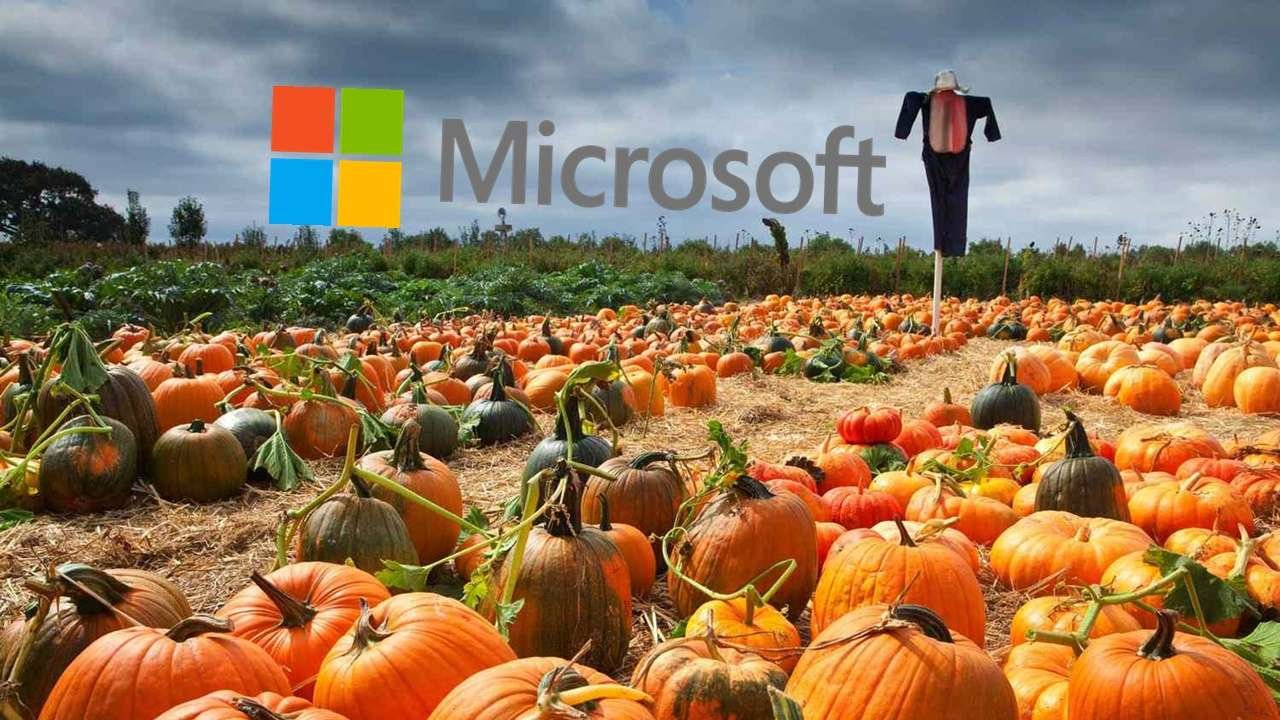 Why Microsoft Paid $76 Million For A Pumpkin Farm